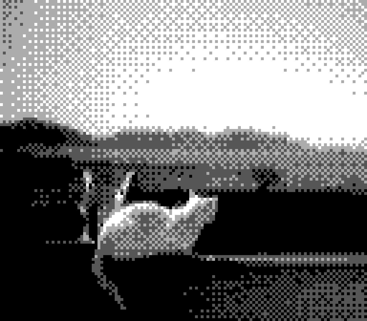 A cat on a wall